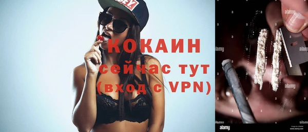 apvp Семёнов