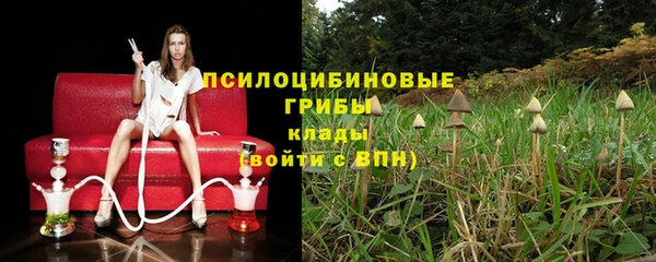 apvp Семёнов