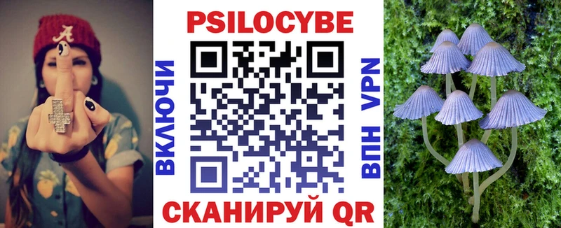 Псилоцибиновые грибы Psilocybe  OMG зеркало  Юрга 