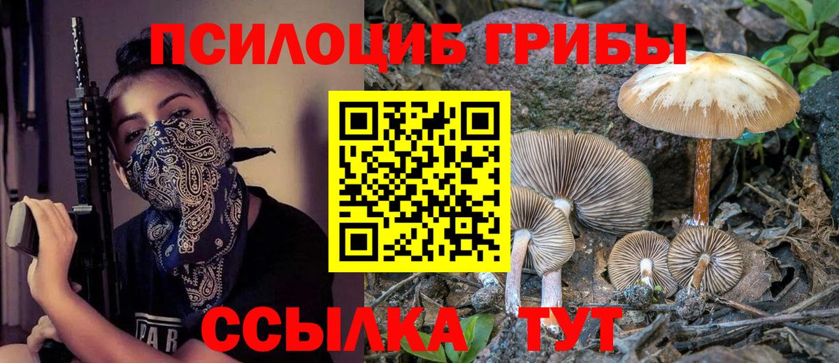 Юрга  Псилоцибиновые грибы Psilocybine cubensis  Вход с VPN  Галлюциногенные грибы прущие грибы 