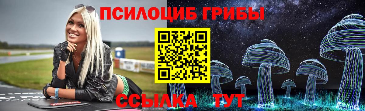 Галлюциногенные грибы Magic Shrooms Юрга